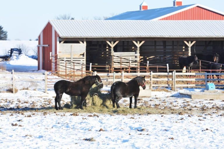 Metal Horse Barn Kits