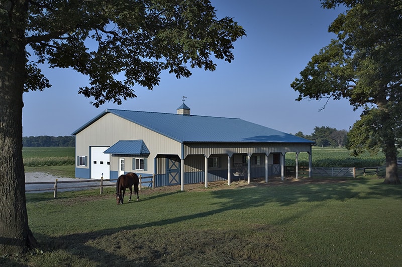 custom horse barns