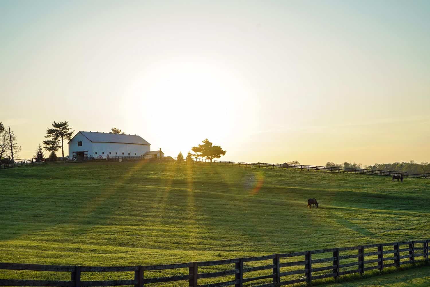 Horse Barns