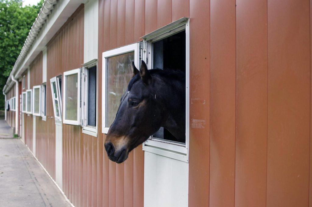 Metal Horse Barn Kits